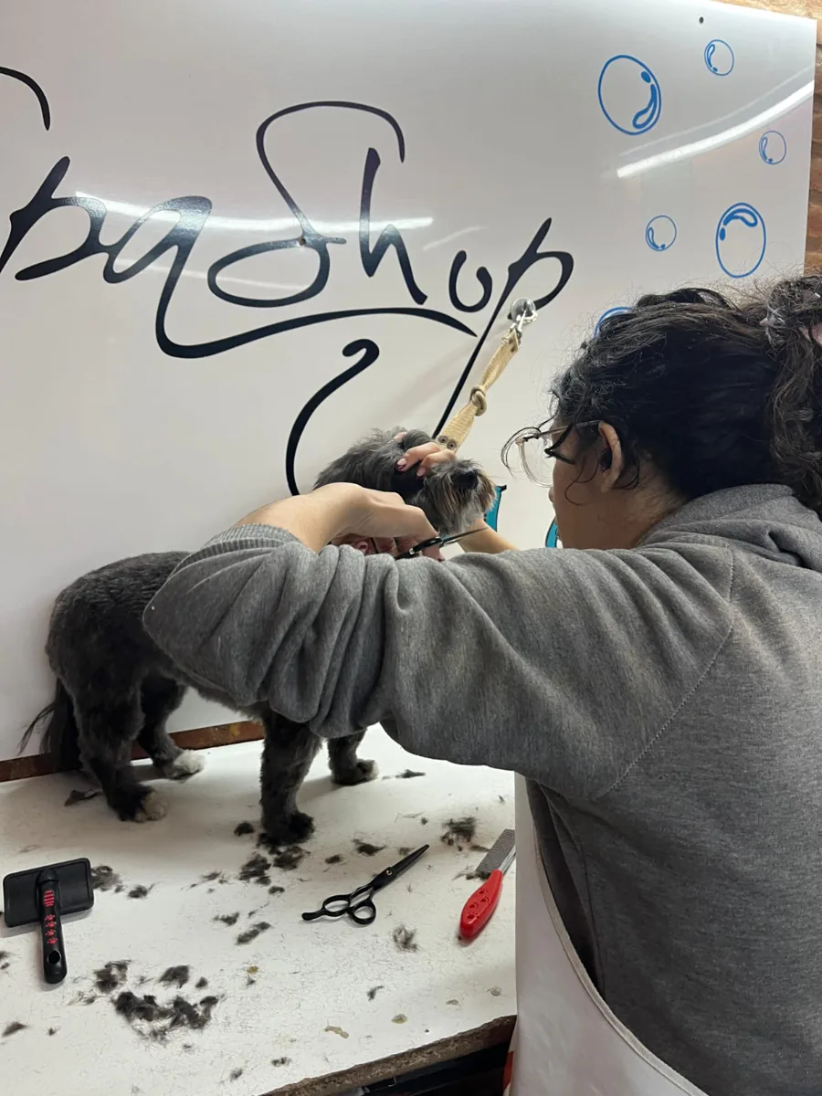 Iara realizando un servicio de cortes a medida